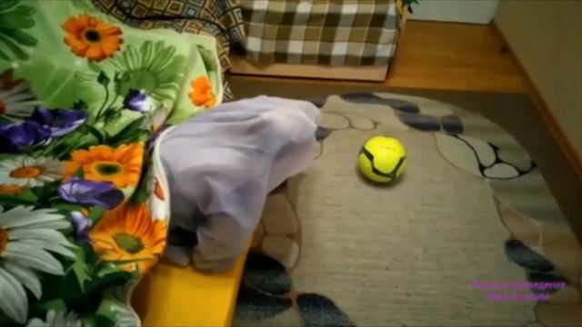 АТМОСФЕРА дома смотреть онлайн