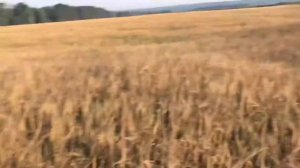 За песком на мотоблоке