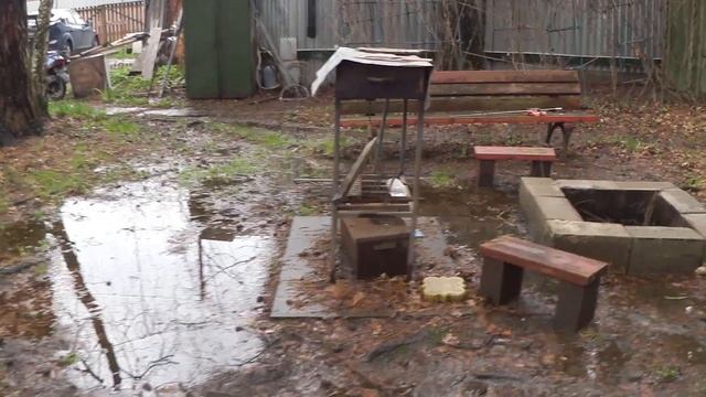 ВЛОГ. Навестили Надюшу с Максом!/Дача!/Ультразвук от МЫШЕЙ?