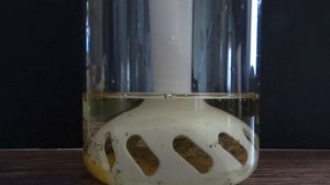 Домашний майонез. Самый простой способ.