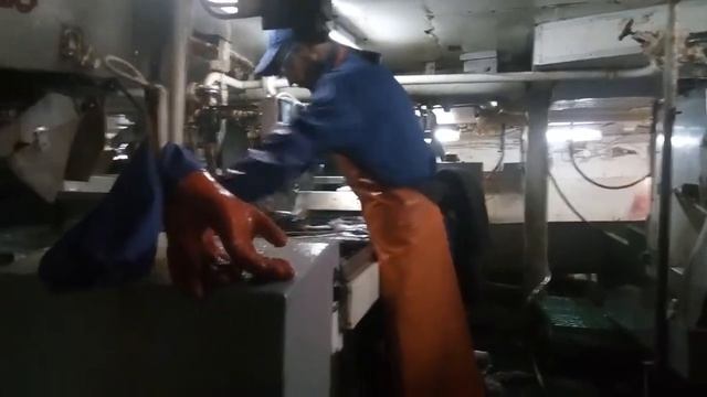 Работа в море! Обработка! Бадер!!! смотреть онлайн