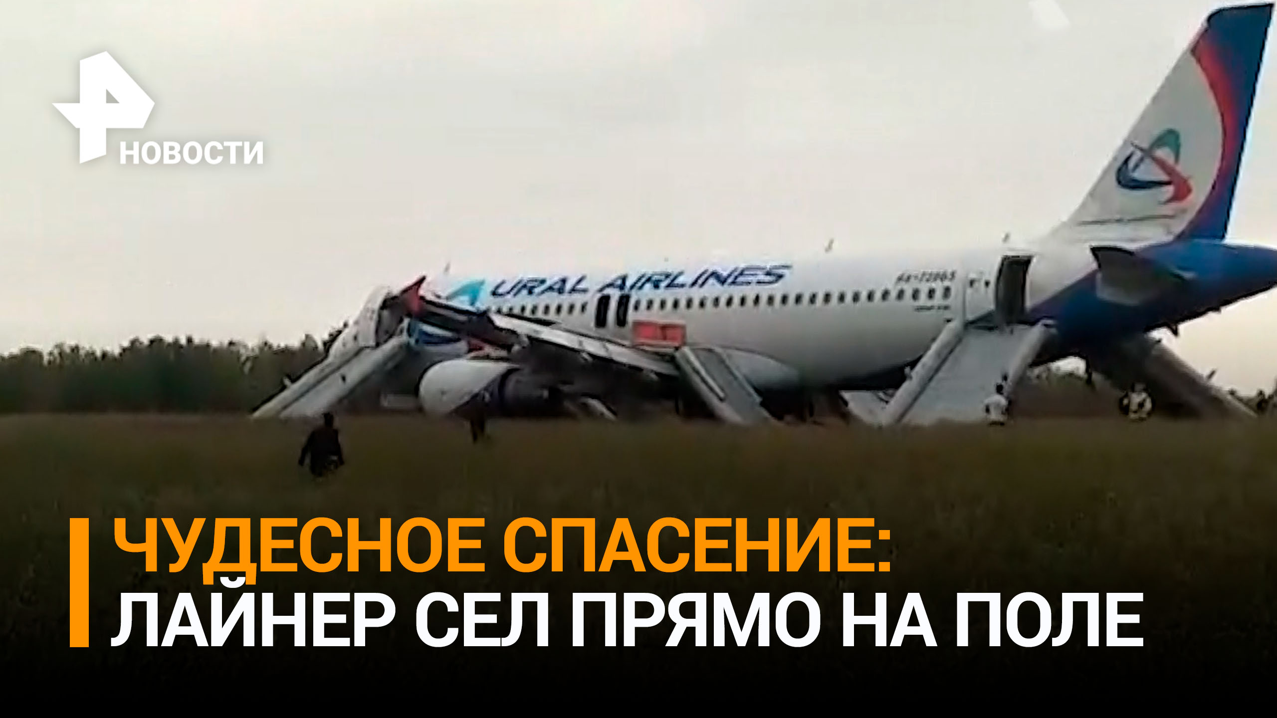 Чудо на пшеничном поле: новые подробности экстренной посадки самолета "Уральских авиалиний"