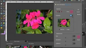 Photoshop Elements Tutorial Replacing Color Adobe Training Lesson 14.9