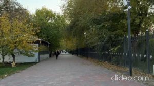 Калитка