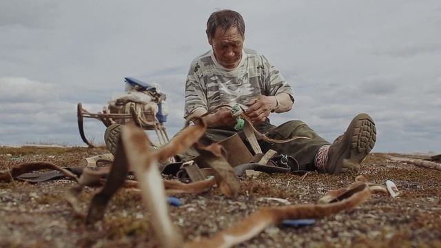 Николай Ильич. Жизнь оленевода