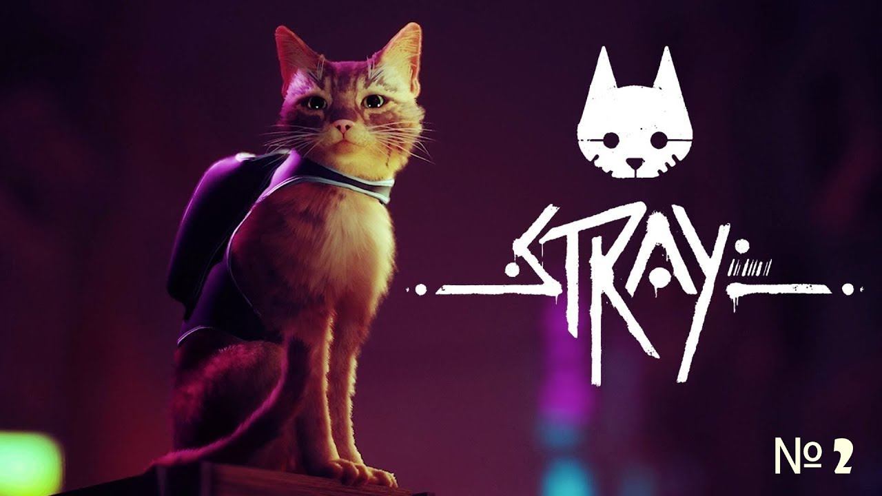 Stray , часть 2