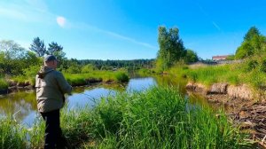 Рыбалка на спиннинг на лесной реке, проверка активности щуки.