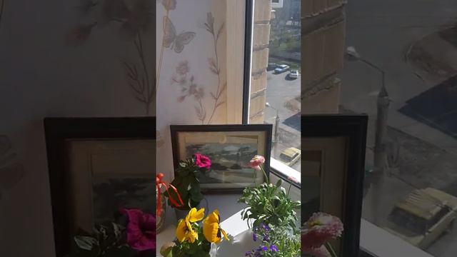 УТРО БЕЗ СУЕТЫ, КАК ВЫ НАЧНЁТЕ УТРО, ТАК ПРОЙДЁТ ВАШ ДЕНЬ, А ЗНАЧИТ И ЖИЗНЬ🤸♀️🤸♂️🏃♂️🏊♀️🚣 смотреть онлайн