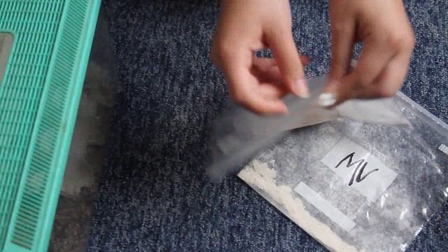 How To Dust Feeder Insects смотреть онлайн