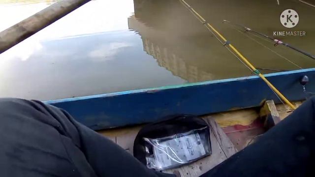 Mancing family lele dumbo alias ikan baung bro смотреть онлайн