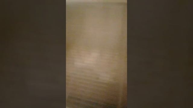 Режим инкубации куриных яиц в инкубаторе Блиц Норма. смотреть онлайн