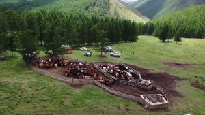 ПОЕЗДКА В ТУВУ | НЕВЕРОЯТНАЯ ПРИРОДА РЕСПУБЛИКИ
