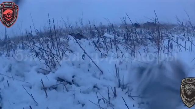 Штурм российскими войсками опорного пункта ВСУчек в районе Марьинки