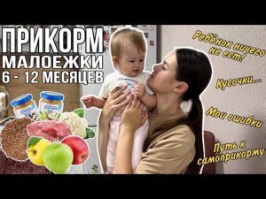 Прикорм малоежки | мой ребёнок ничего не ест | наша история прикорма