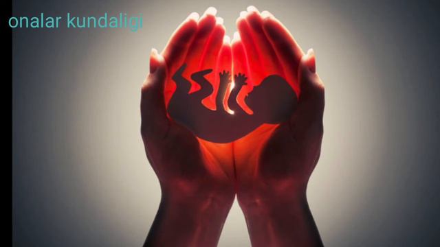 Homila tushish sabablari va belgilari//Хомила тушиш сабаби ва белгилари