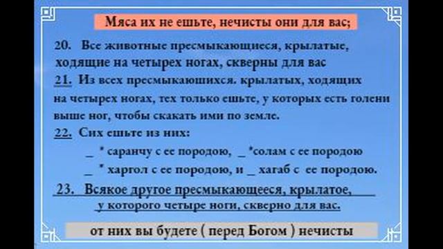КТО БУДЕТ ЕСТЬ КРОВЬ, ТОТ ИСТРЕБИТЬСЯ ИЗ НАРОДА !. МОИСЕЙ ПРОРОК смотреть онлайн
