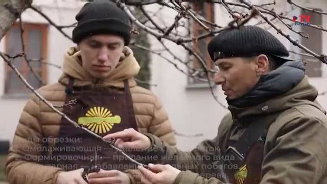 Суперсад: обрезка деревьев смотреть онлайн