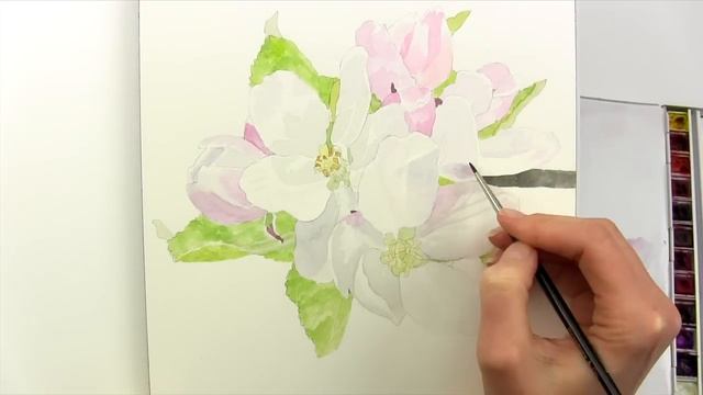 How to paint realistic apple blossom in watercolour with Anna Mason смотреть онлайн