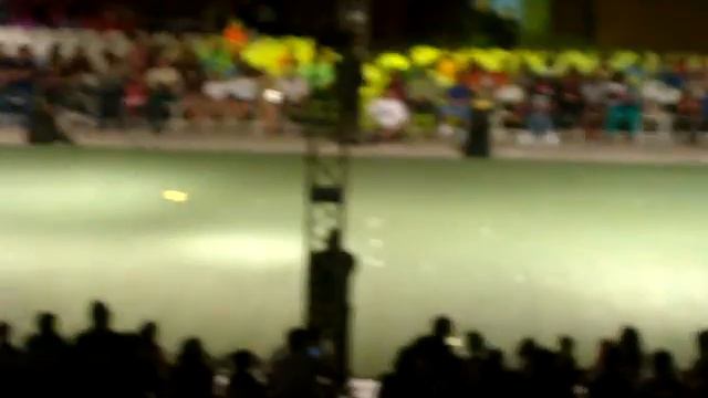Dogs El Show de los perros increibles (Panama 2013)