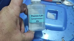 Прививка и стратификация винограда.