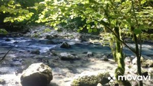 Абхазия. Чёрная речка. Гудаутский р-он. .2021