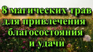 8 магических трав для привлечения благосостояния и удачи.