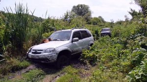 ШНИВА СТОК И НИВА 3D off ROAD УСТЬЕ