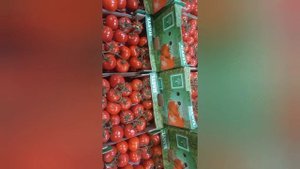 Шок!! Туркменистан Помидор цена, Фуд - Сити рынок, оставайтесь с нами ?????????