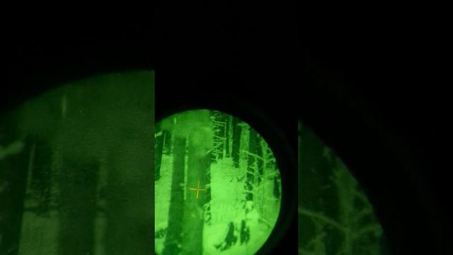 16 ноября 2023 г. смотреть онлайн