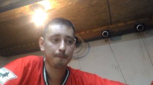 Выращивание грибов вешенка. Возвращение и оправдание за отсутствие