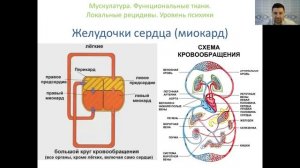 Современная психосоматика. Правила для НОВОЙ МЕЗОДЕРМЫ 5