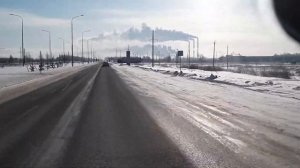 Соболь баргузин в движении.