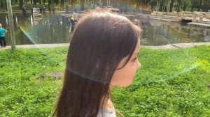 Исток реки Дон 4к видео. Город Новомосковск Тульская область