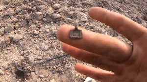 В поисках селения , или как найти чешую !