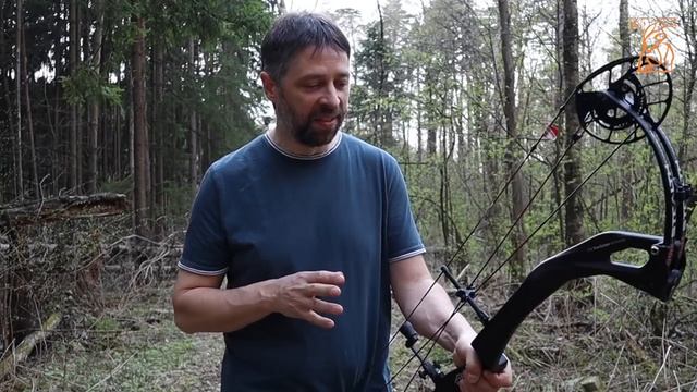 PSE CARBON STEALTH | Блочный лук моей мечты