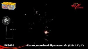 Фейерверк РС9070 "Салют, достойный Президента!" (1,2", 2" х 126 залпов)