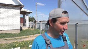 Отработка + опилки. Как обогреть теплицу во время заморозков .Минимум затрат .