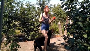 Доберман, команды, великолепная собака, послушание/ Doberman, nice dog,commands, obedience