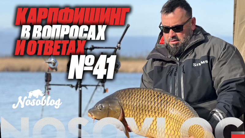 Карпфишинг в вопросах и ответах #41, Колесников А. смотреть онлайн