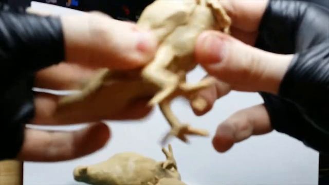 Лепка из пластилина. Австралийская ворона лепка птиц. Пластилиновые птицы. смотреть онлайн