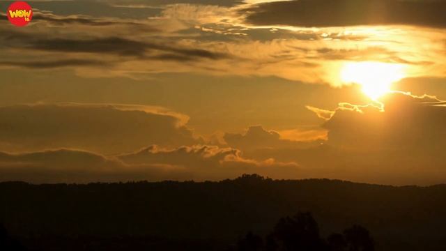 Listen, See and Think: Episode 778 (Cannes, France) смотреть онлайн