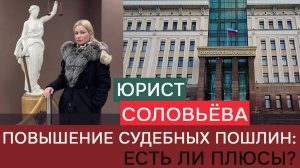Соловьёва: Если увеличится госпошлина, значит нужно прибавлять количество судей