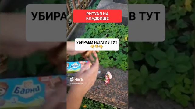 РИТУАЛ НА КЛАДБИЩЕ #онлайн #ритуал #СВЕТЛАНАВЕДА #shorts