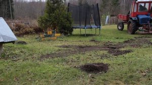 т-16 трактор. гоняем кротов.