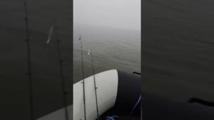 Тарпон 5 лс Раш 330 глисер