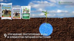 Их только надо внести в почву. Остальную работу они сделают сами!
