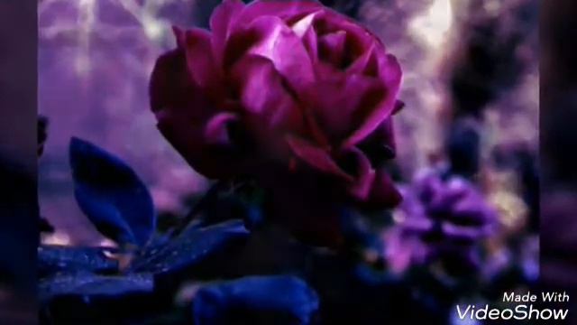 Гулдор смотреть онлайн