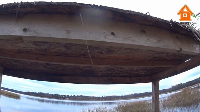 Отзыв плита ОСБ OSB через 10 лет под открытым небом. OSB и влага!