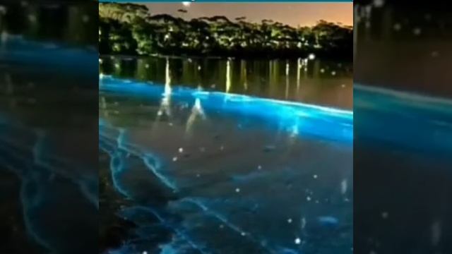 Повторяйте эти слова 20 раз каждый день с верой когда необходимо исцеление смотреть онлайн