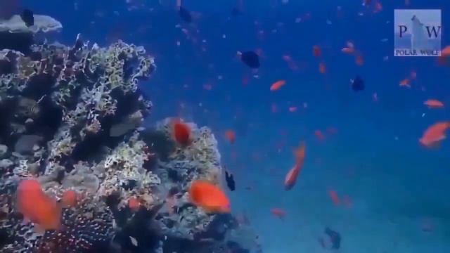 ЛУННЫЙ КАЛЕНДАРЬ НА 10 АПРЕЛЯ 2022 ГОДА. ОБЩИЕ РЕКОМЕНДАЦИИ ДЛЯ ВСЕХ ЗНАКОВ ЗОДИАКА смотреть онлайн